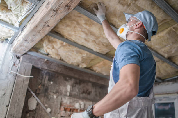 Types of Insulation We Offer in Geneva, IL