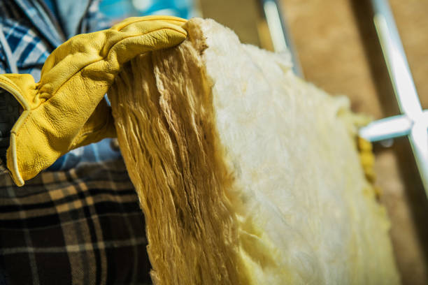 Best Geographic-Specific Insulation Services in Geneva, IL